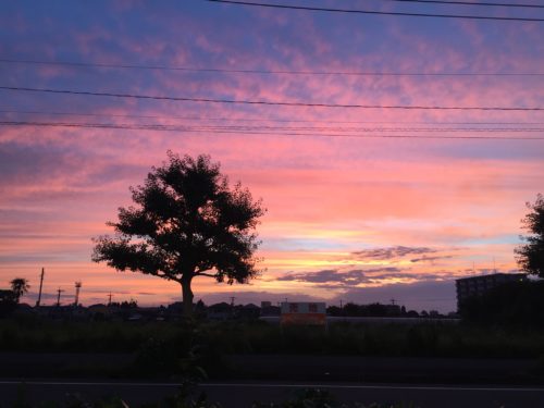 宮崎県の美しい朝日