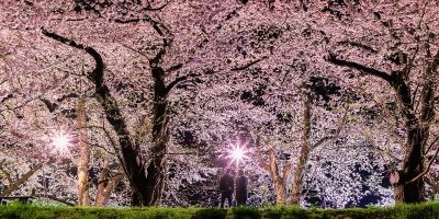 桜を見る会 流行語大賞