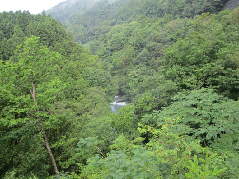 道志川付近の山の景色